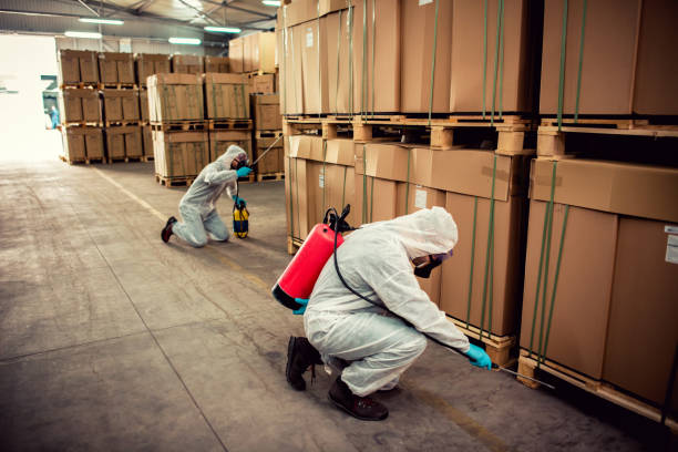 Best Emergency Pest Control  in Enterprise, WV