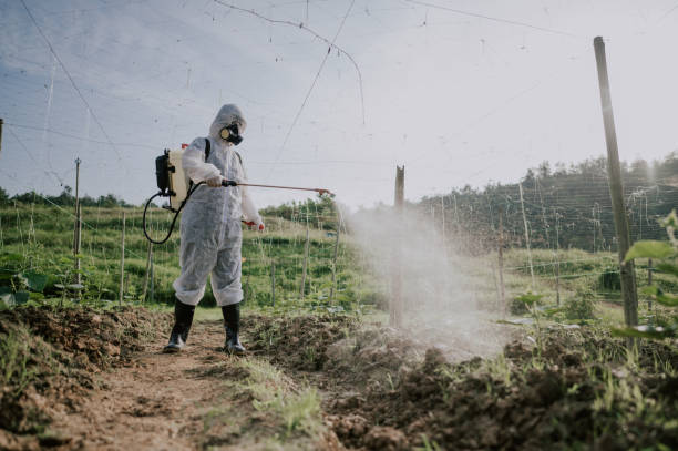 Best Commercial Pest Control Services  in Enterprise, WV