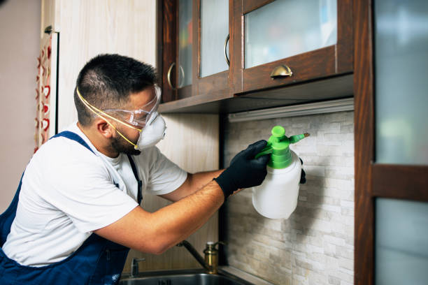 Best Best Pest Control Companies  in Enterprise, WV
