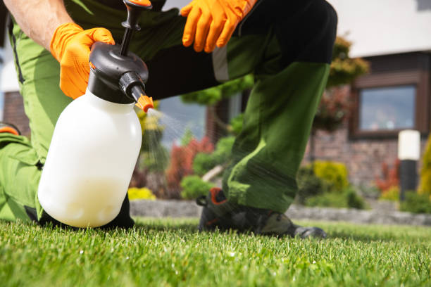 Best Residential Pest Control  in Enterprise, WV