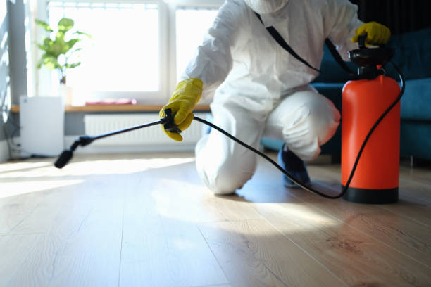 Flea Control Services in Enterprise, WV