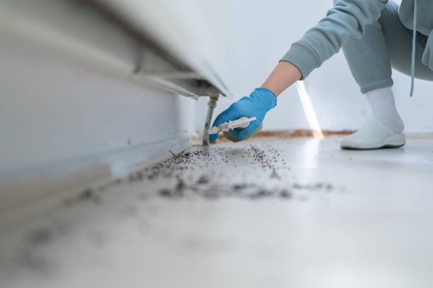 Reliable Enterprise, WV Pest Control Solutions