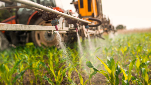 Best Local Pest Control Services  in Enterprise, WV